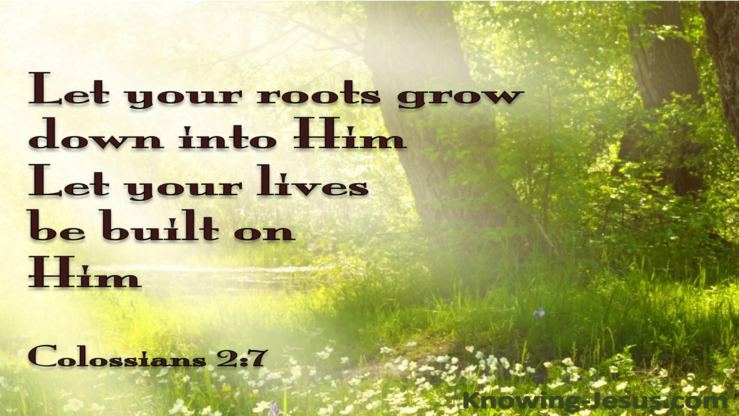 Colossians 2:7 Rooted on Christ (brown)